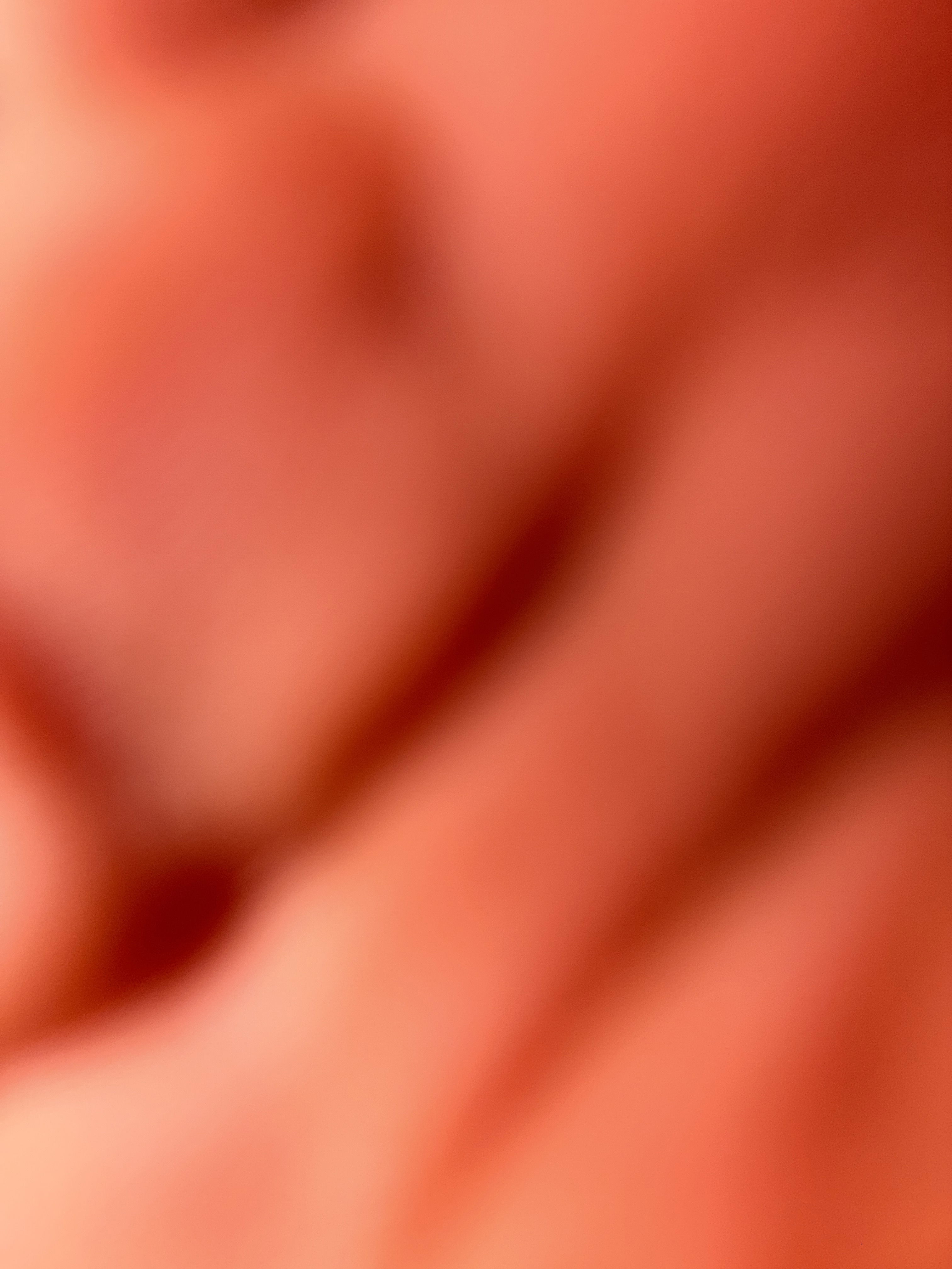 tacoooo568's Profile Photo