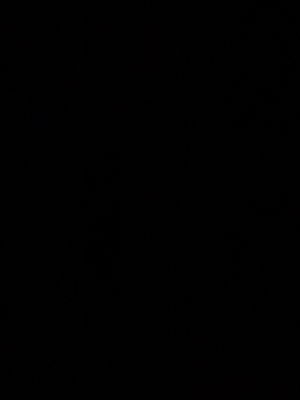 levichandler874's Profile Photo