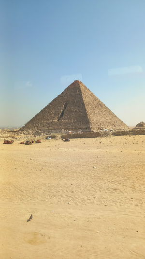 theman's Profile Photo