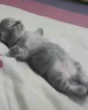 rsebma's Profile Photo