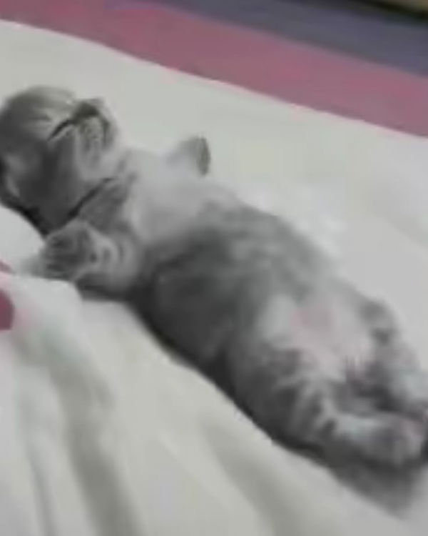 rsebma, 18 years old from Australia