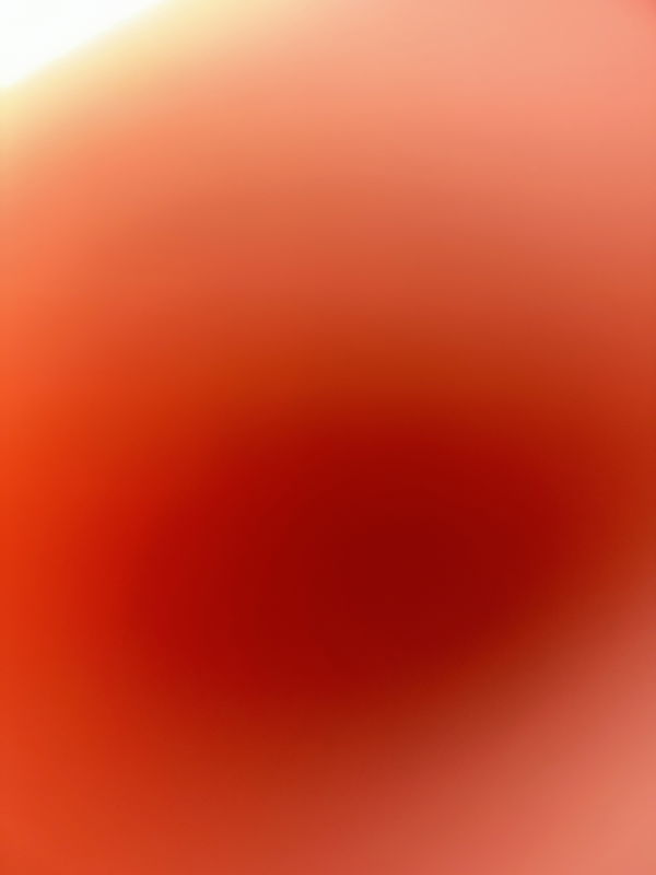 zackm2500, 21 years old from United States