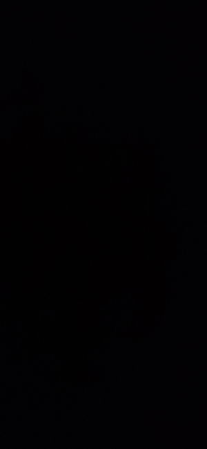 noah5656's Profile Photo