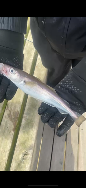 ngwellsy69's Profile Photo