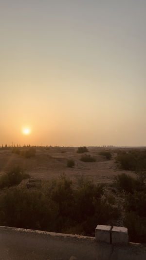 djart8030's Profile Photo