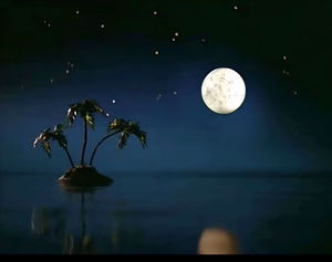 pork6204's Profile Photo