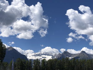 travistaves3915's Profile Photo