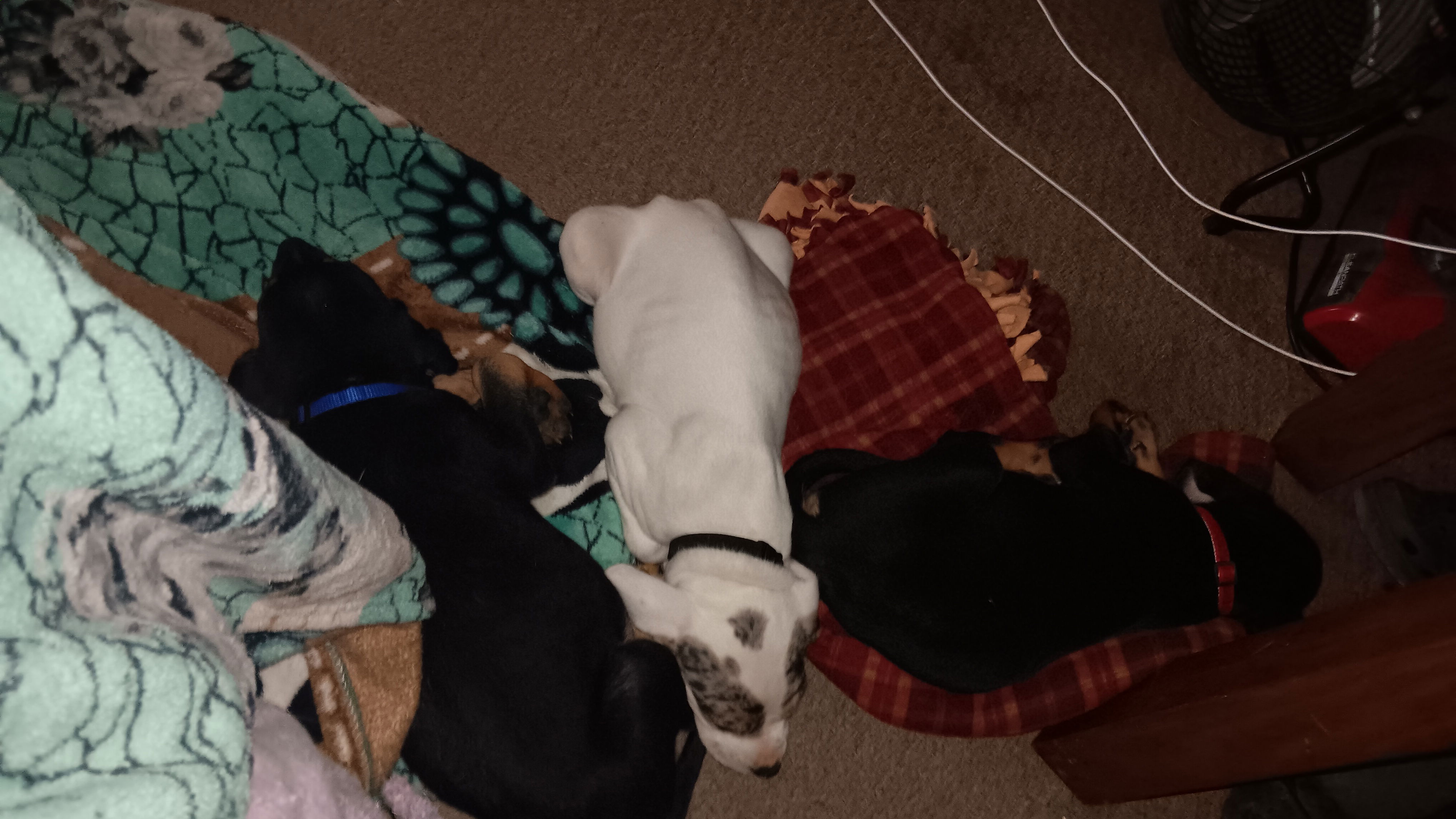 abduca's Cover Photo