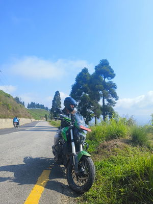 dkboy's Profile Photo