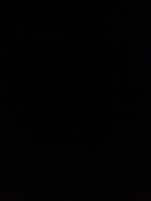 thattgayyguyy's Profile Photo