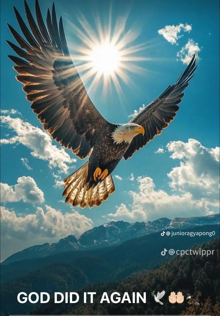 Techsavvy442's Cover Photo