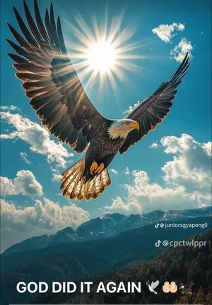 Techsavvy442's Profile Photo