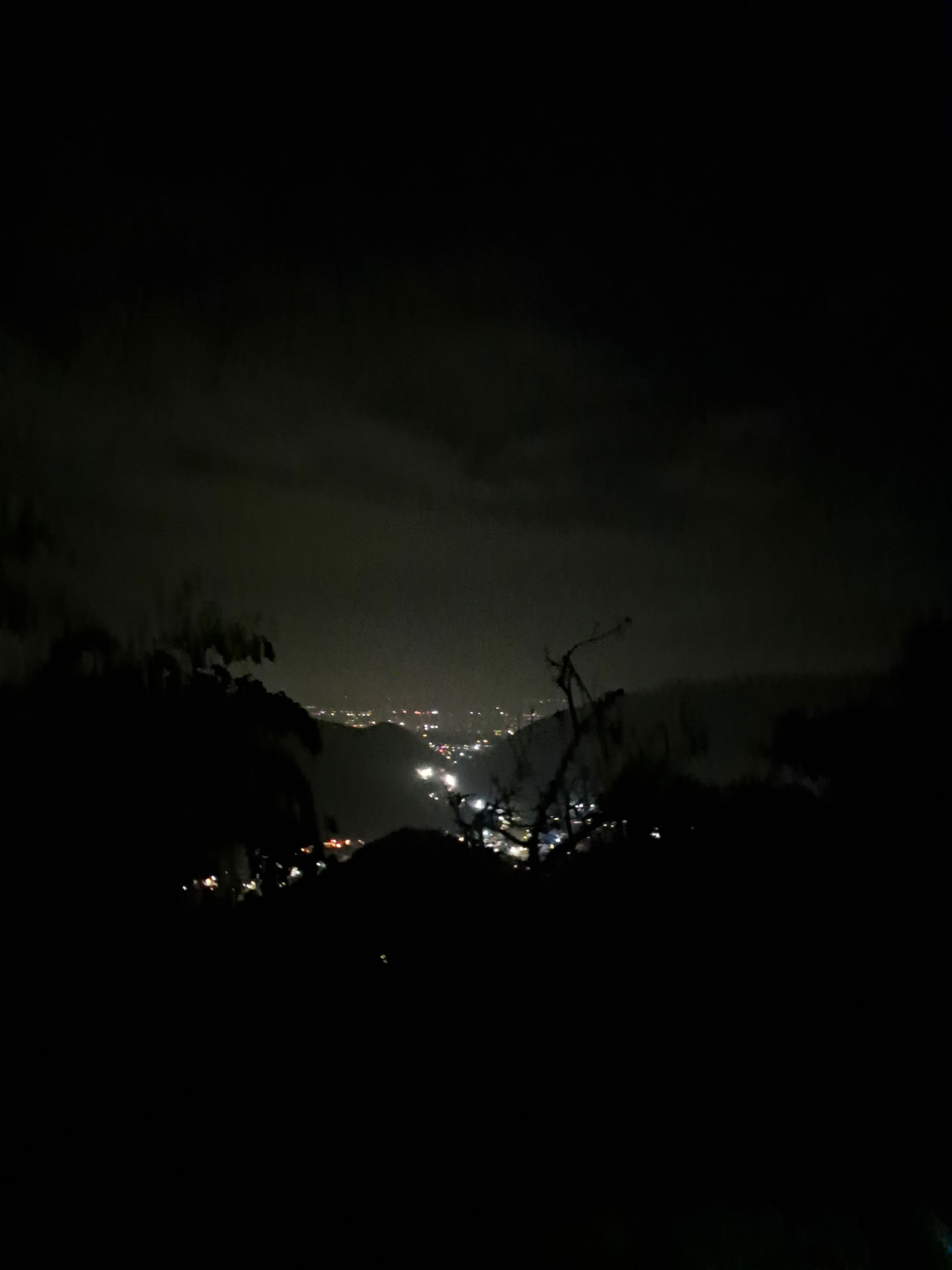 vipewoc223's Profile Photo