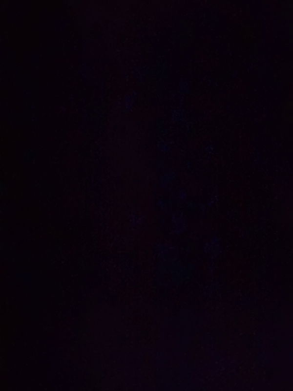 darka4990, 20 years old from United States