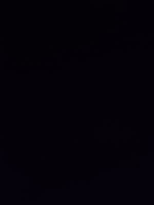 meleyjala's Profile Photo