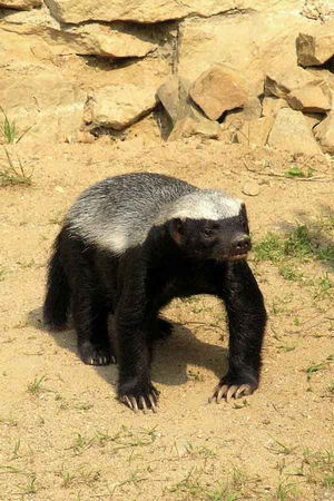 niackek's Profile Photo