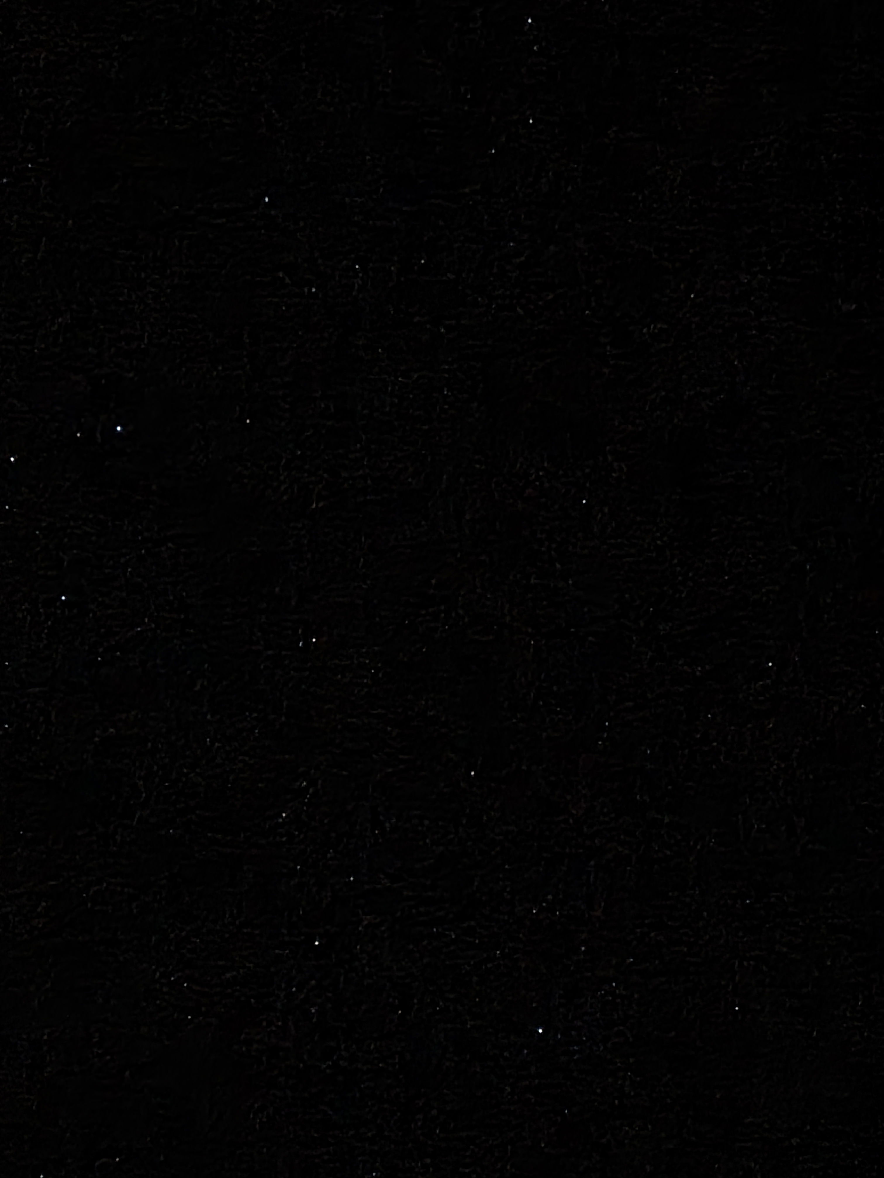 maoribum5's Profile Photo