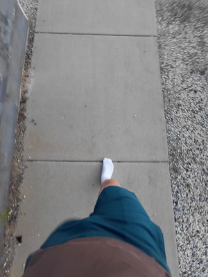 claydipps's Profile Photo