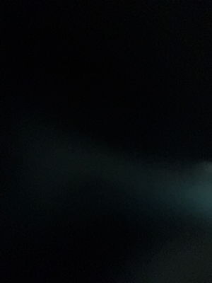 looveable2's Profile Photo