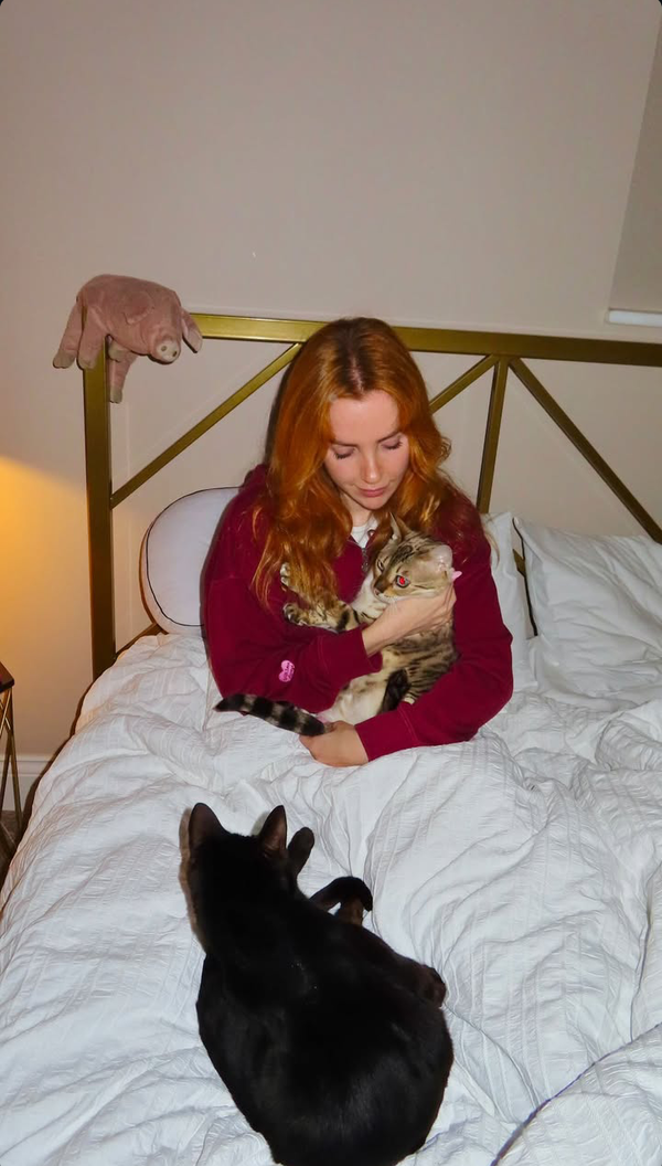 mpejwar881, 25 years old from United States