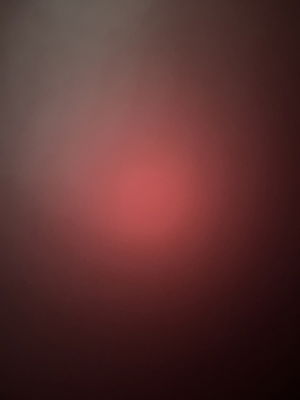 macoced305's Profile Photo