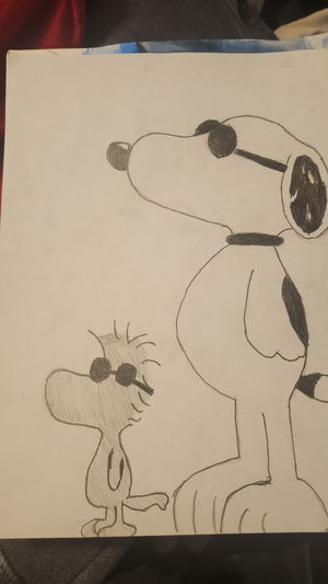 hansellroman8's Profile Photo