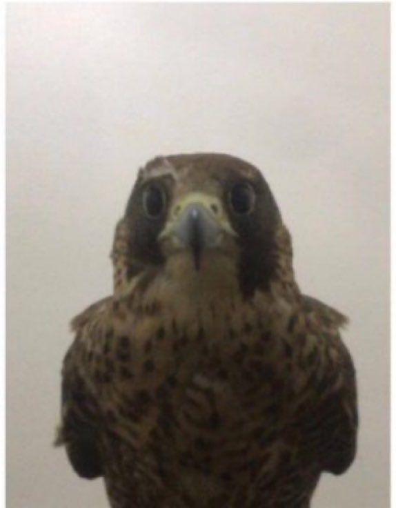 uziverte3211's Cover Photo