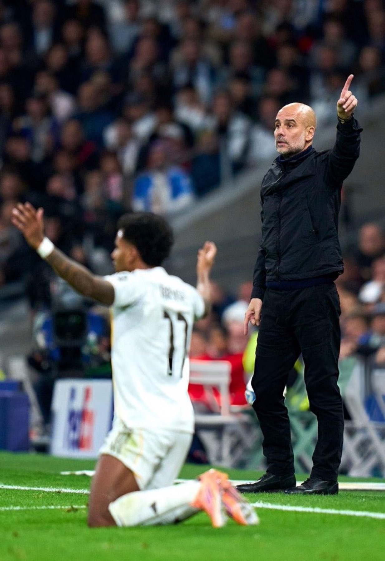 jcoleanichebe's Cover Photo