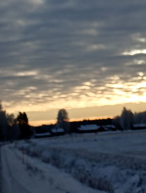 ginl26354's Profile Photo