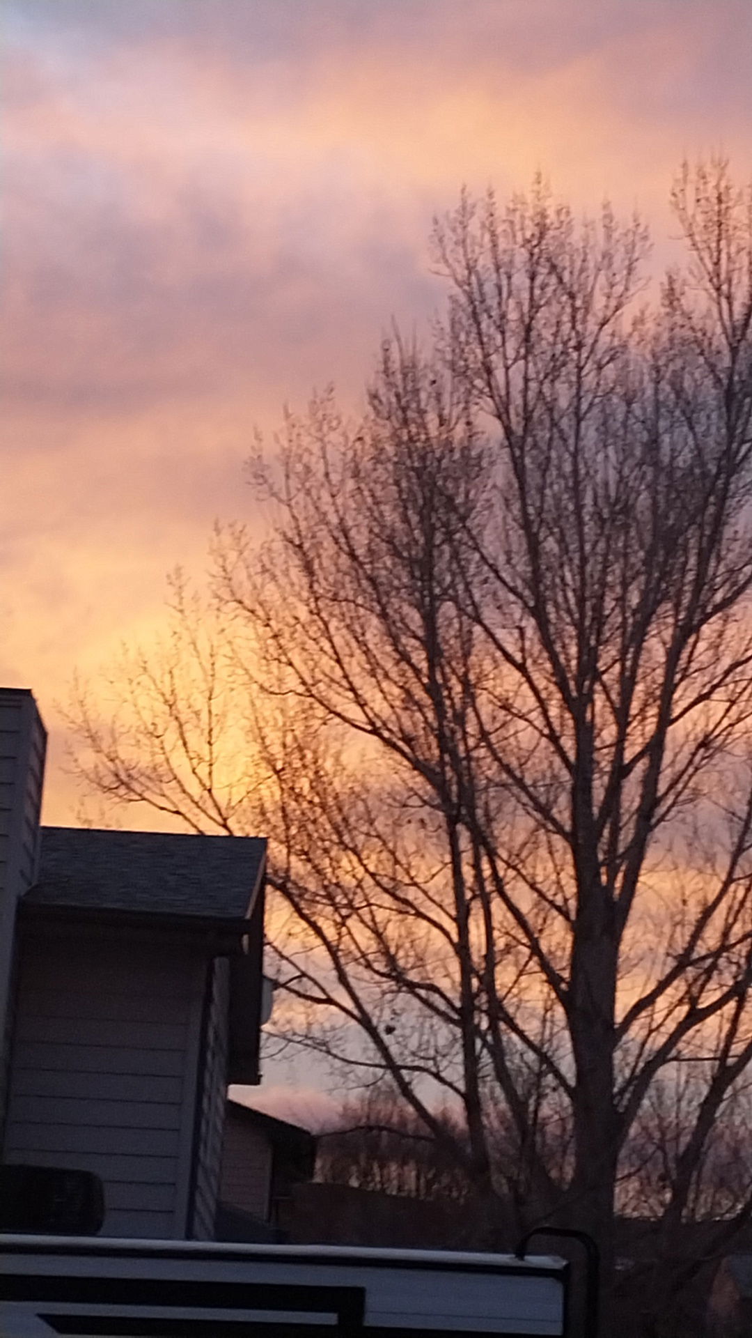 Thomas1285087's Cover Photo