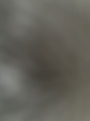 Aguff124's Profile Photo