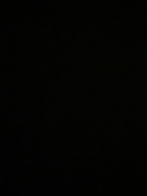 seddster's Profile Photo