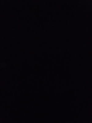 rloopz453's Profile Photo