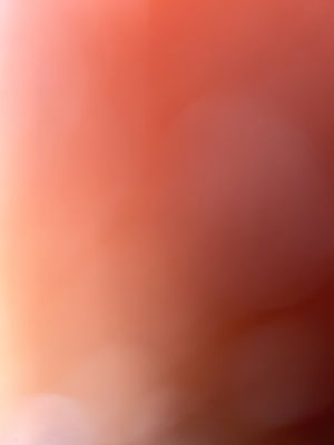 Damm's Profile Photo