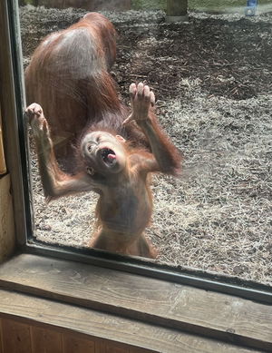 jaysonthebestateverything's Profile Photo