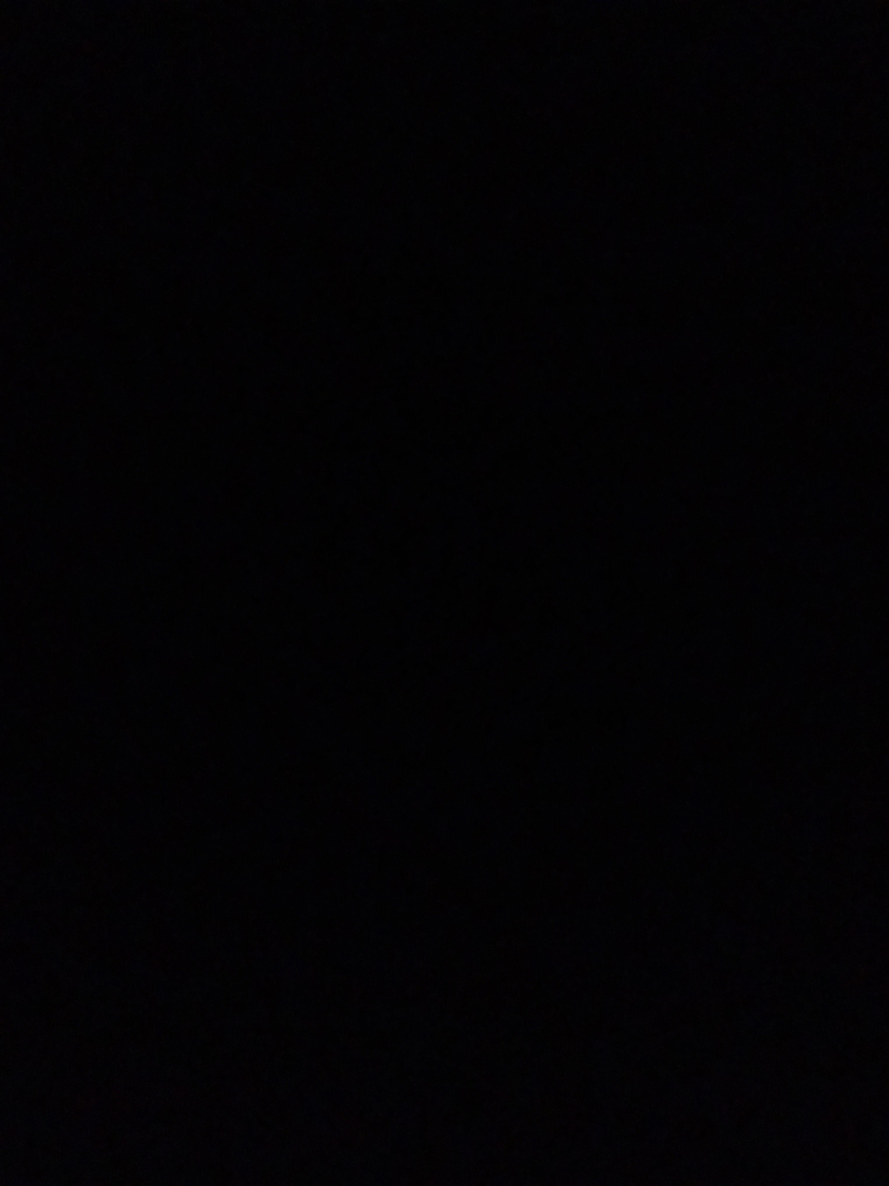 alaafk2010's Profile Photo