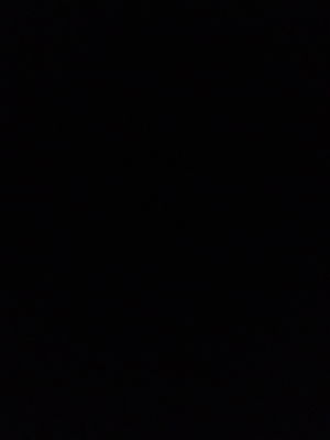 alaafk2010's Profile Photo