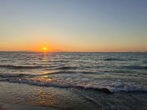 tommmmm's Profile Photo