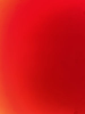 licashd's Profile Photo