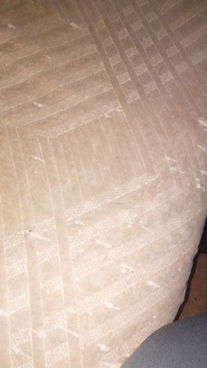 crazywhiteboyz104's Profile Photo