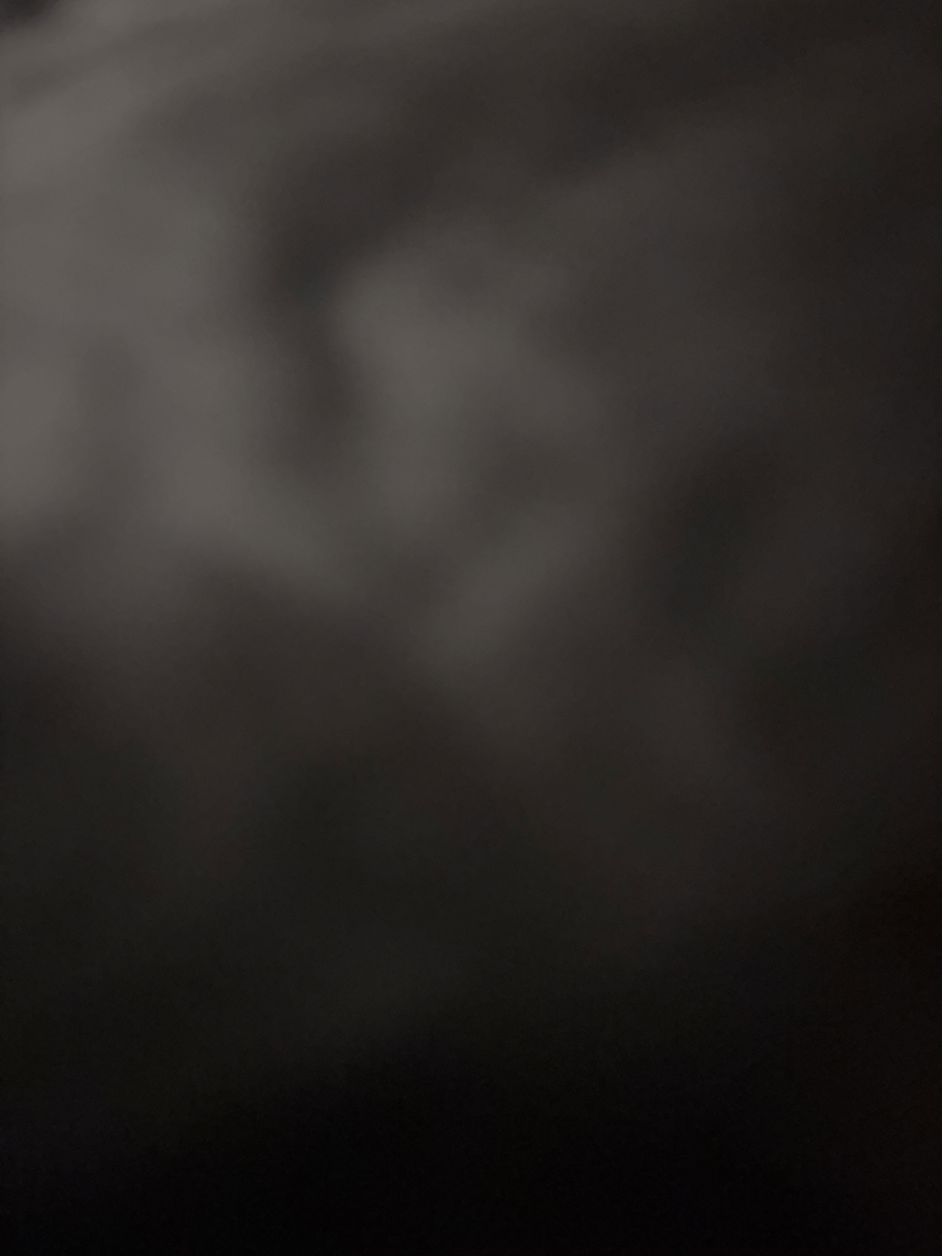 helpmenut838's Profile Photo