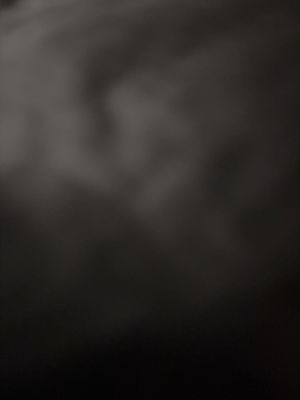 helpmenut838's Profile Photo