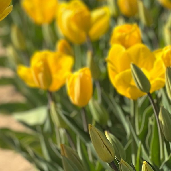 volom85429, 22 years old from United Kingdom