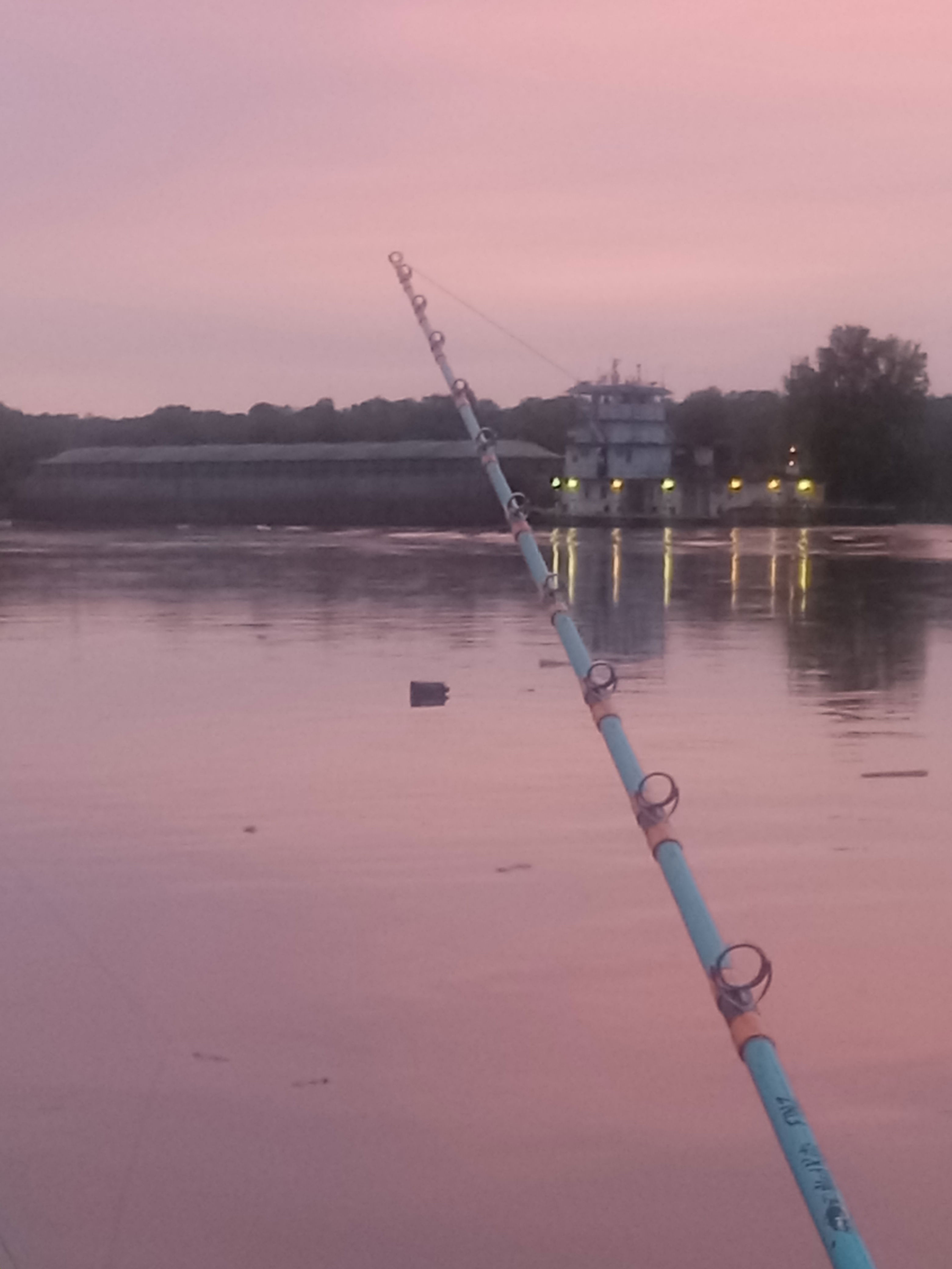 inyad09's Profile Photo