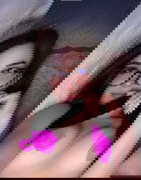 vihato7585's Profile Photo