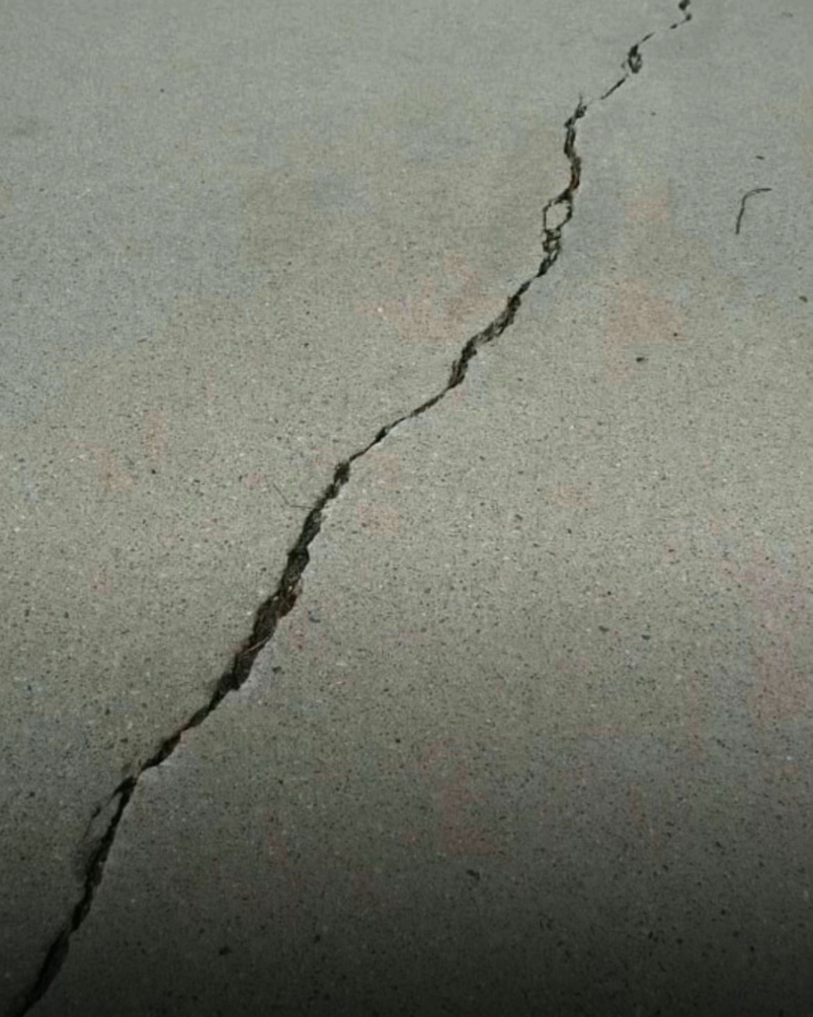 farquharderell's Profile Photo