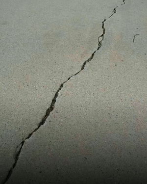 farquharderell's Profile Photo