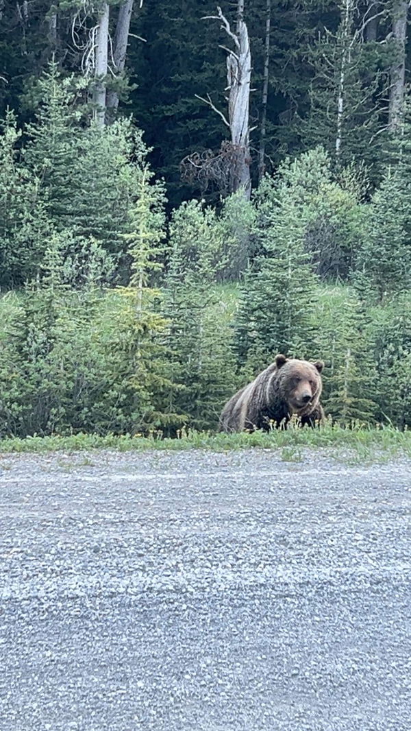 Jimlindsey69, 18 years old from United States