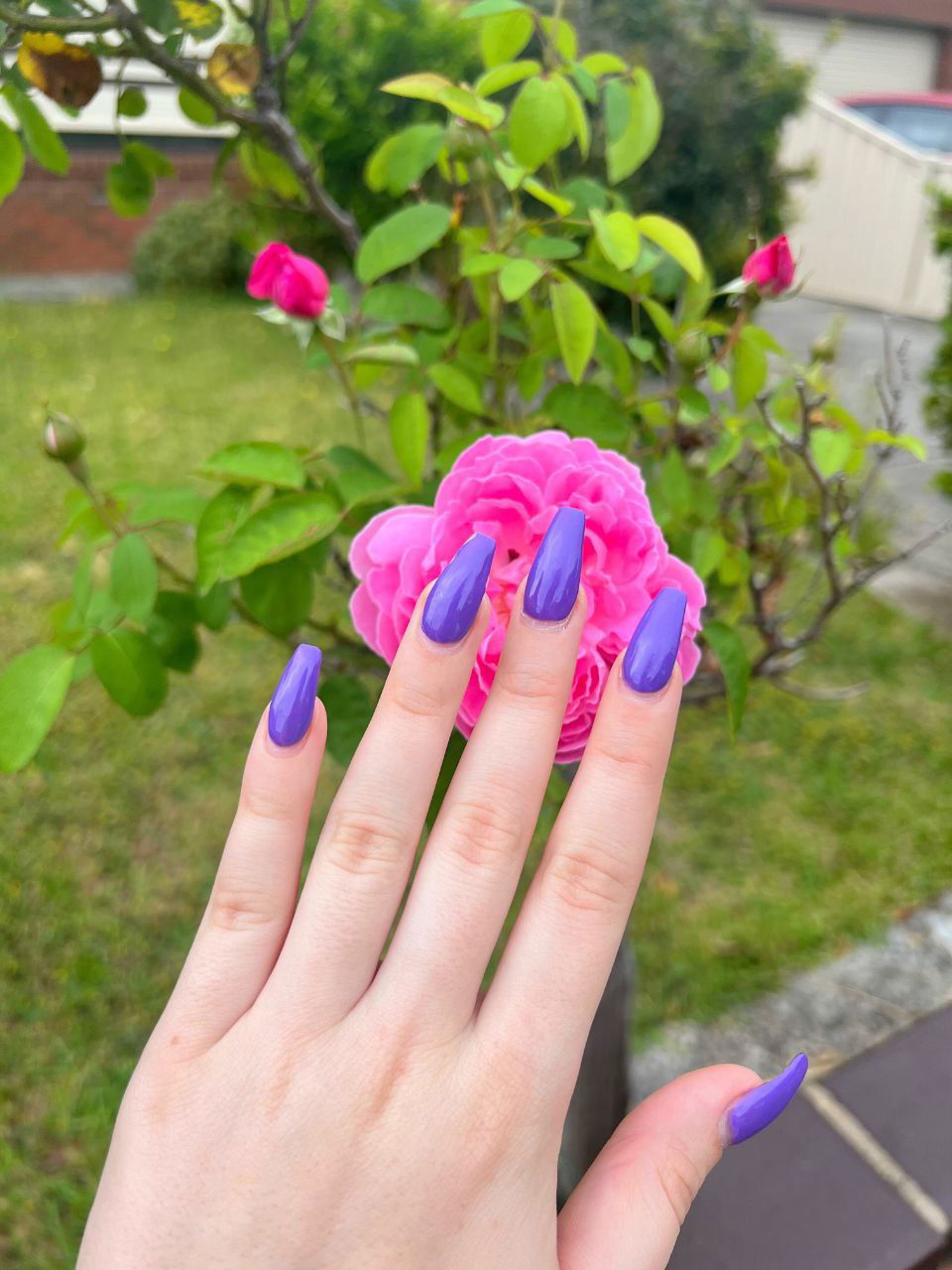 dofabo431, 21 years old from United States