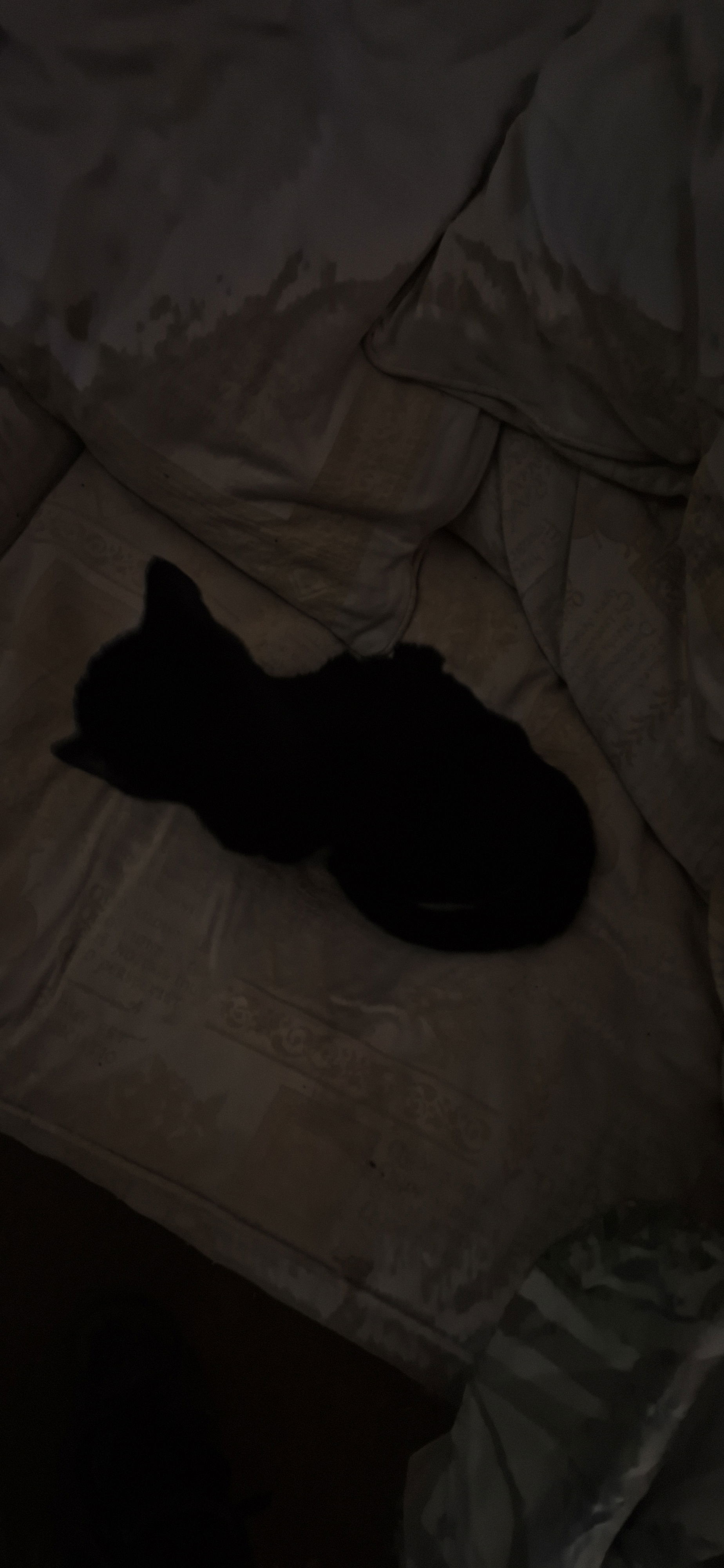 BigSam's Cover Photo